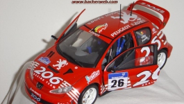 Peugeot 206 Rallye